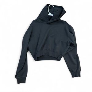 NWT Aritzia Perfect Fit Sweat Fleece - large black